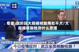 专家:现阶段大规模核酸用处不大/大规模核酸检测什么原理