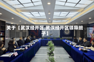 关于【武汉经开区,武汉经开区领导班子】