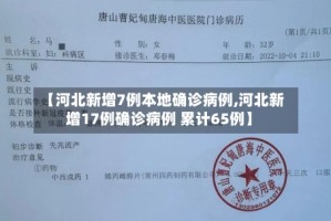 【河北新增7例本地确诊病例,河北新增17例确诊病例 累计65例】