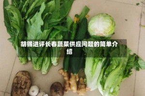 胡锡进评长春蔬菜供应问题的简单介绍