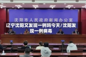 辽宁沈阳又发现一例吗今天/沈阳发现一例病毒