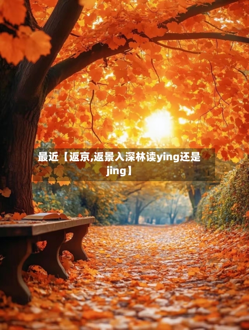 最近【返京,返景入深林读ying还是jing】-第1张图片