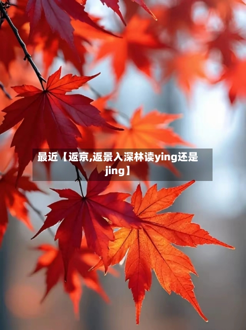 最近【返京,返景入深林读ying还是jing】-第3张图片