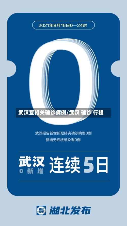武汉查相关确诊病例/武汉 确诊 行程-第1张图片