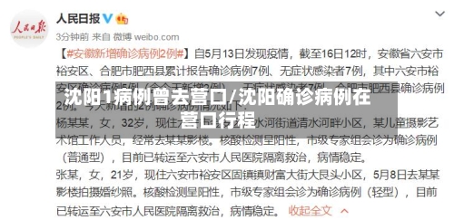 沈阳1病例曾去营口/沈阳确诊病例在营口行程-第1张图片