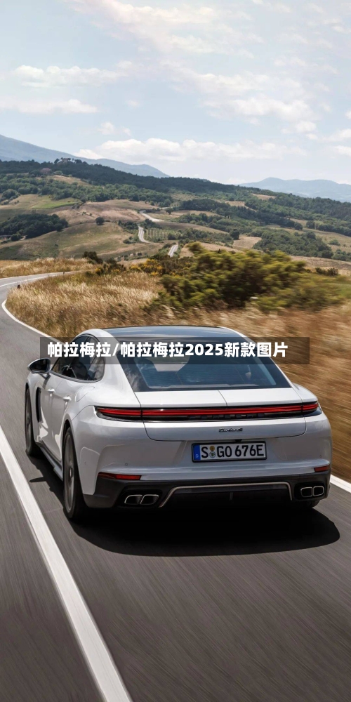 帕拉梅拉/帕拉梅拉2025新款图片-第1张图片