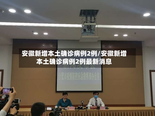 安徽新增本土确诊病例2例/安徽新增本土确诊病例2例最新消息-第2张图片