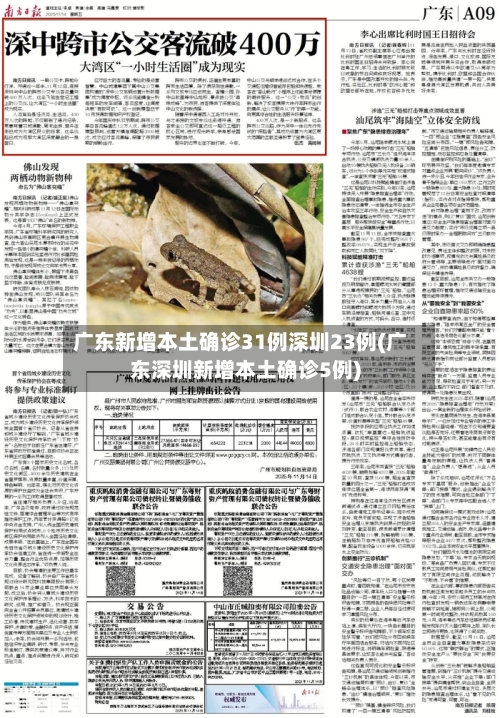 广东新增本土确诊31例深圳23例(广东深圳新增本土确诊5例)-第2张图片