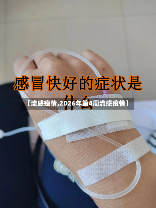 【流感疫情,2026年第4周流感疫情】-第3张图片