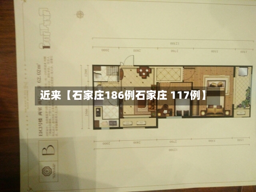 近来【石家庄186例石家庄 117例】-第1张图片