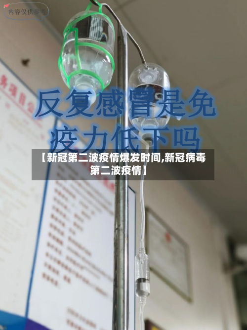【新冠第二波疫情爆发时间,新冠病毒第二波疫情】-第2张图片