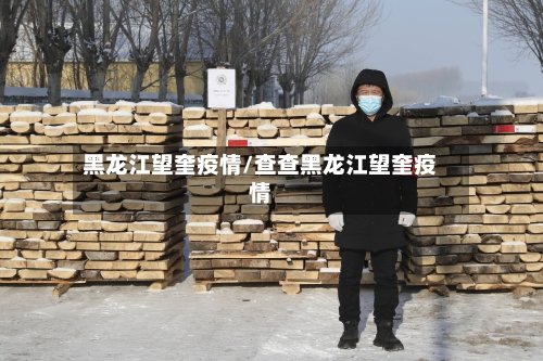 黑龙江望奎疫情/查查黑龙江望奎疫情-第1张图片