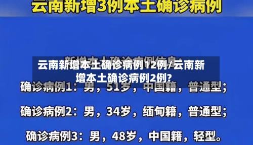 云南新增本土确诊病例12例/云南新增本土确诊病例2例?-第2张图片