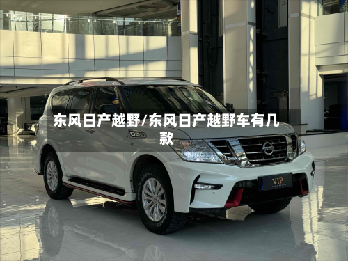 东风日产越野/东风日产越野车有几款-第1张图片