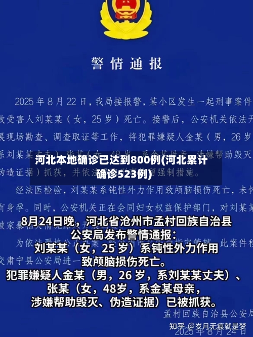 河北本地确诊已达到800例(河北累计确诊523例)-第1张图片