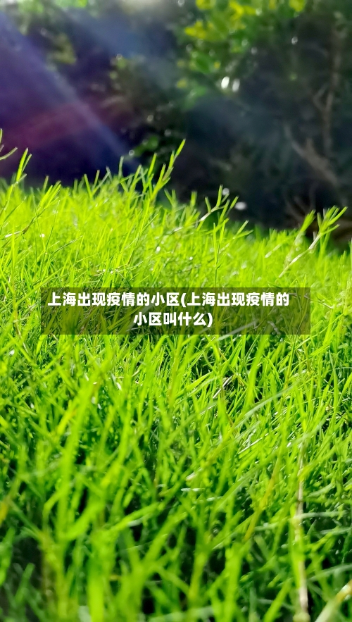上海出现疫情的小区(上海出现疫情的小区叫什么)-第1张图片