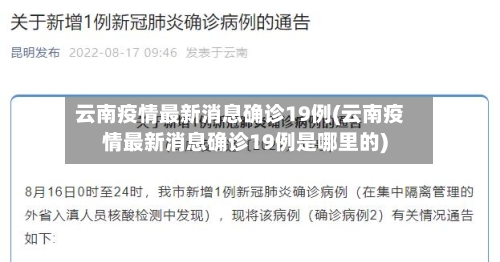 云南疫情最新消息确诊19例(云南疫情最新消息确诊19例是哪里的)-第1张图片