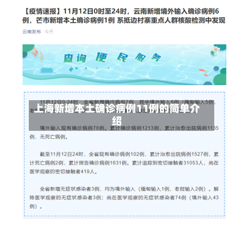 上海新增本土确诊病例11例的简单介绍-第1张图片