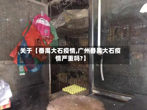 关于【番禺大石疫情,广州番禺大石疫情严重吗?】-第3张图片