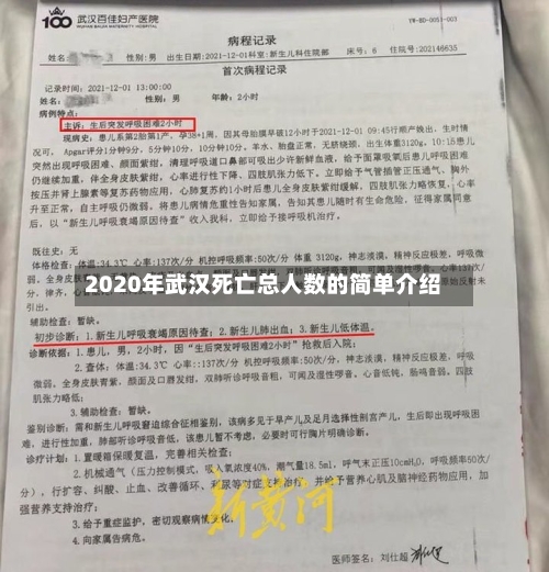 2020年武汉死亡总人数的简单介绍-第3张图片